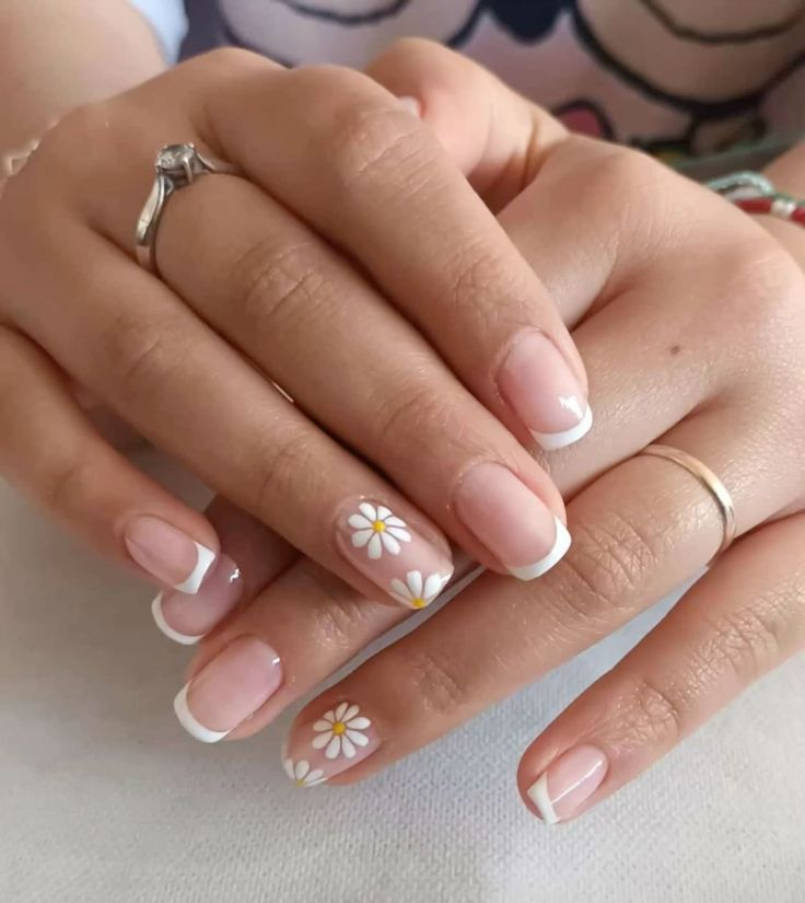 Minimalist Daisy Tips